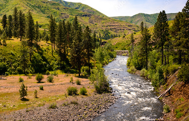 imagen de paisaje natural